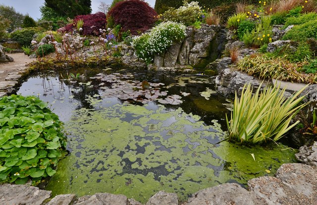 Decorative Ponds